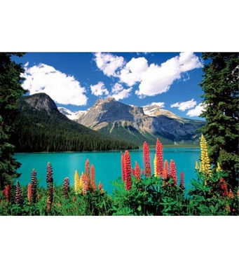 Educa Jigsaw Puzzle - Emerald Lake and Canadian Rockies - 1000 pieces